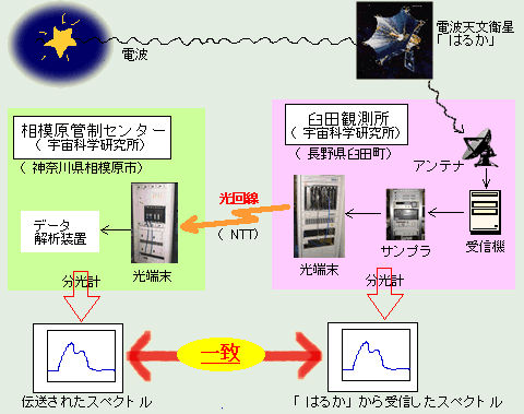 概要図